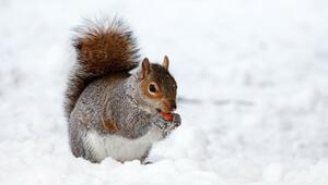 Winteranfang 2020: Datum und Tipps für einen nachhaltigen Winter