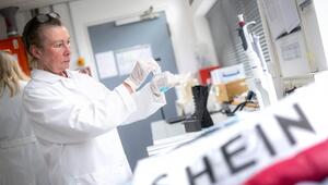 Labor: Manche Kleidung bei Shein mit Chemikalien belastet