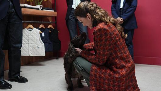 Prinzessin Kate hat in Wales Cocker Spaniel Barney getroffen.