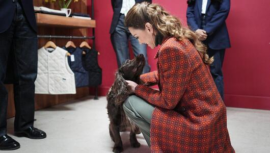 Prinzessin Kate hat in Wales Cocker Spaniel Barney getroffen.