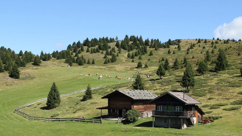 Seiser Alm in Südtirol