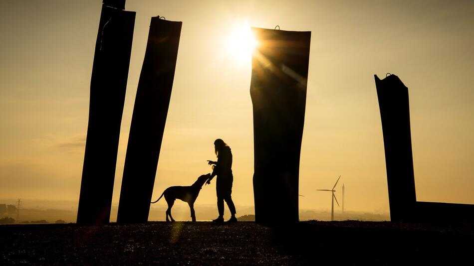 Eine Frau spielt mit ihrem Hund bei Sonnenaufgang