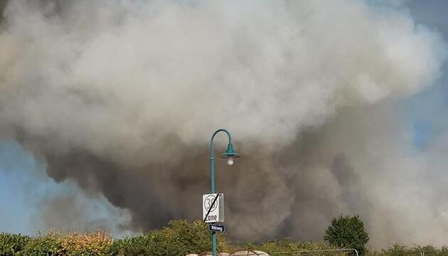 Brand im Föhrenwald in St. Egyden