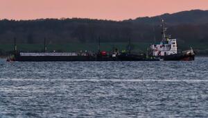 Weitere Entwicklung zum Buckelwal in der Ostsee