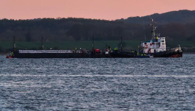 Weitere Entwicklung zum Buckelwal in der Ostsee
