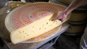 Das Dilemma mit den Löchern im Emmentaler Käse