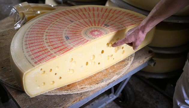 Das Dilemma mit den Löchern im Emmentaler Käse