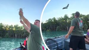 Majestätischer Jäger: Adler schnappt sich Fisch im Flug