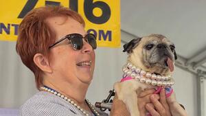 Mops Jennie Leu gewinnt "World's Ugliest Dog" in Kalifornien