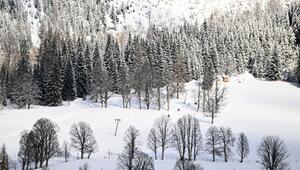 Der Skifahrer lag reglos neben einer Piste im Wald.