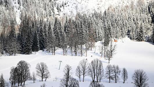 Der Skifahrer lag reglos neben einer Piste im Wald.