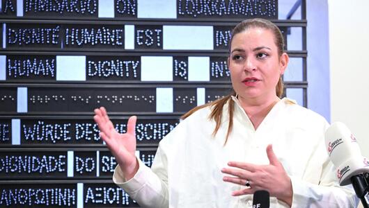 Grünen-Fraktionsführerin Tomaselli kritisiert Ermittlungen