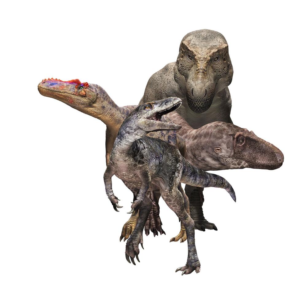 Tyrannosauroiden