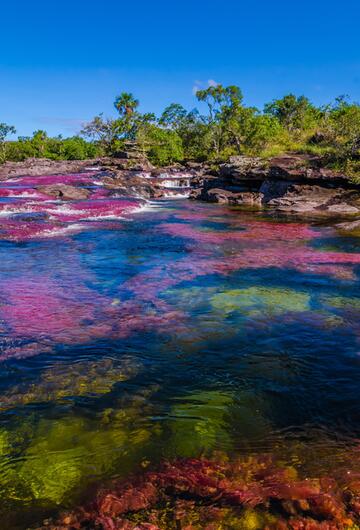 Caño Cristales, 5-Farben-Fluss in Kolumbien