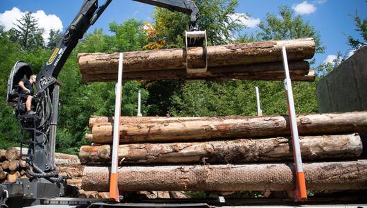 Heizen mit Holz war im Jänner ein teures Vergnügen
