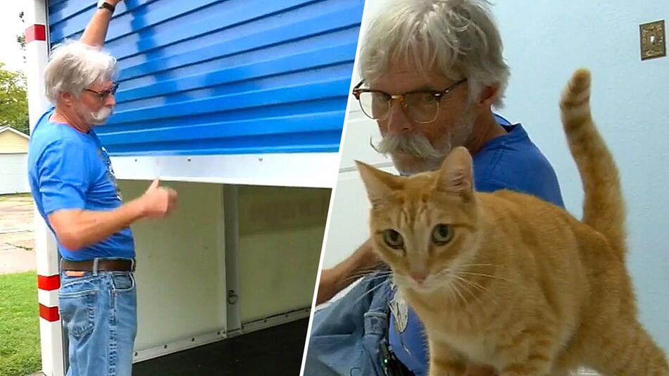 25 Tage in Umzugscontainer überlebt: Verschwundener Kater reist 3.200 Kilometer