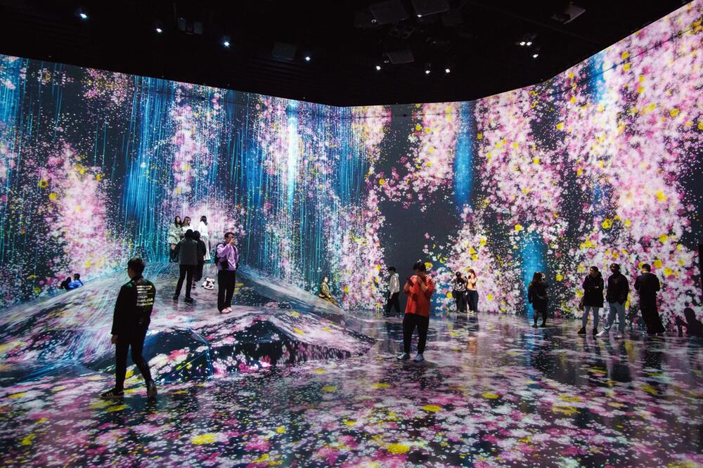 Installation im teamLab Borderless Tokyo