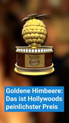 Goldene Himbeere: Der peinliche Preis