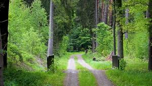Frau tot im Wald entdeckt: Tatverdacht gegen 16-Jährigen