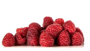 himbeeren lagern
