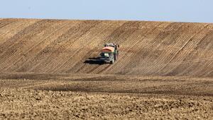 Landwirtschaft im Frühjahr