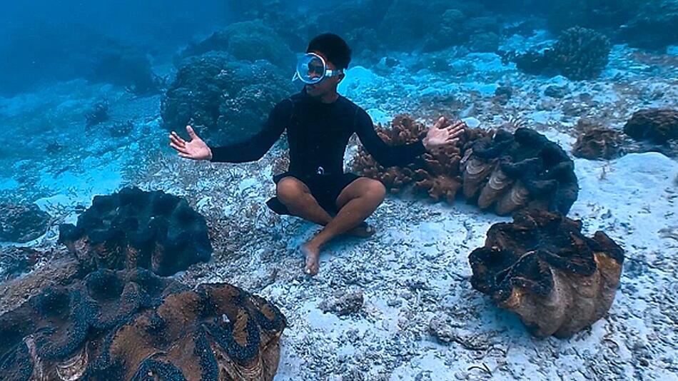 Unter Riesen: Taucher erkundet bedrohte Mega-Muscheln vor den Philippinen
