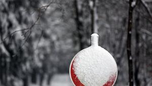 Verschneites Verkehrsschild