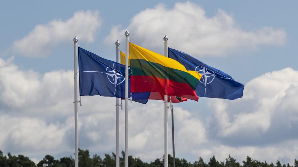 Litauische Flagge