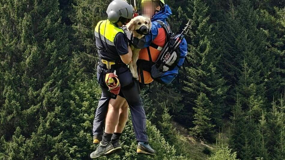 Hündin per Hubschrauber aus steilem Gelände geborgen