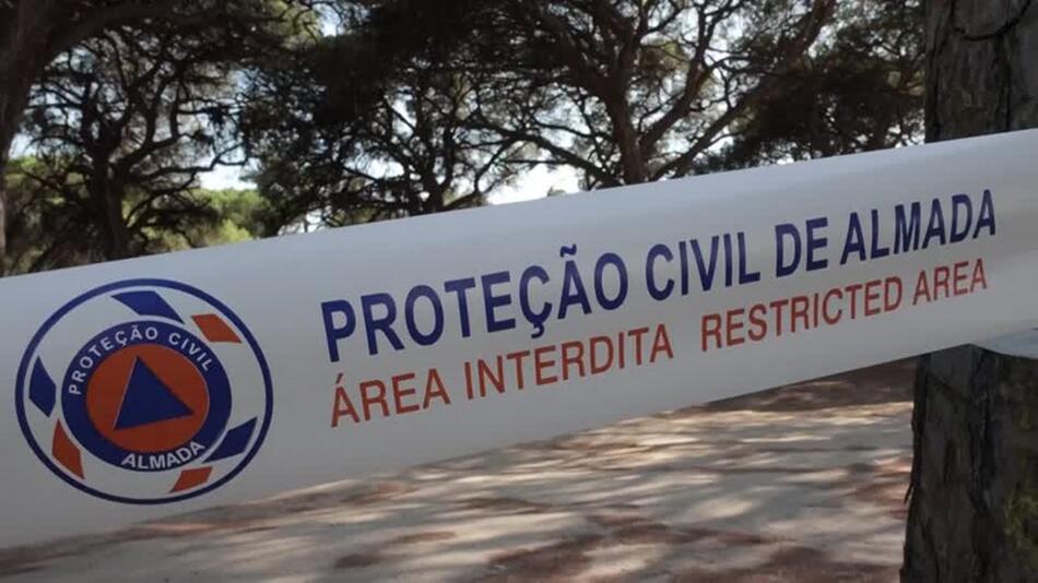 Angst vor Waldbränden in der Feriensaison - Wälder in Portugal zum Sperrgebiet erklärt