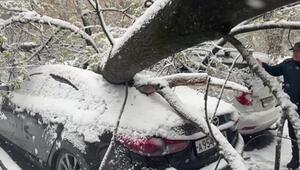 Schneesturm sorgt für Schäden in Moskau