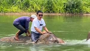 Unfreiwilliges Bad: Elefant taucht mit Touristen mitten im Fluss ab