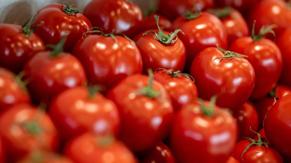 Messe - Fruit Logistica