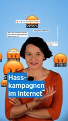 Hasskampagnen in den sozialen Medien