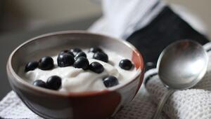 probiotischer joghurt
