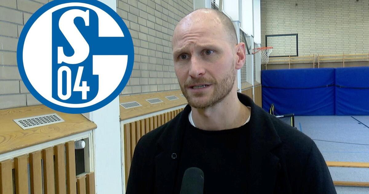 Ex Schalker Höwedes sorgt sich Da müssen alle Alarmglocken läuten