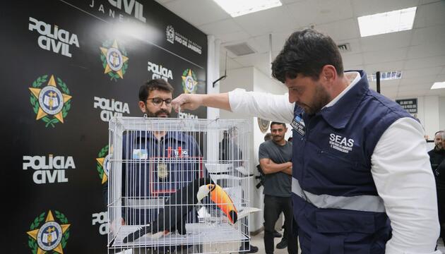 Großer Schlag gegen den illegalen Tierhandel in Brasilien