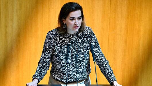 Ehemalige Justizministerin Alma Zadić übt umfassende Kritik
