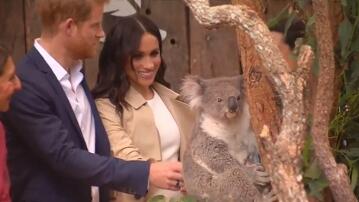 Prinz Harry, Herzogin Meghan, Zoobesuch, Australien,