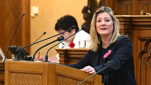 Wiener Vizebürgermeisterin für Sozialhilfe-Kürzungen