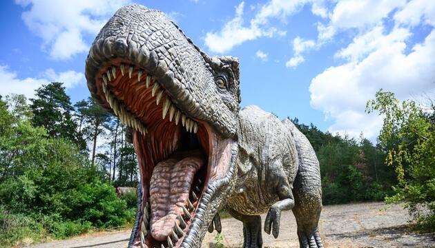 Auch ein Top-Predator fängt klein an: T. rex war ein Spätzünder