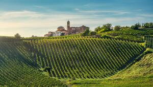 Wein, Weinregion, Ranking, Europa, Reise