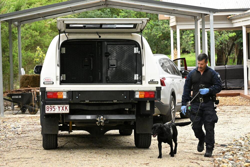 Nach Todesfällen durch Pilzvergiftung in Australien