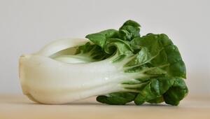 pak choi braten