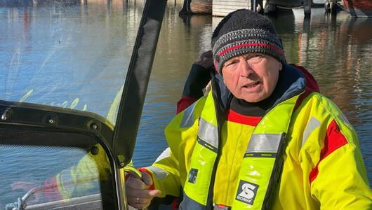 Weitere Entwicklung zum Buckelwal in der Ostsee