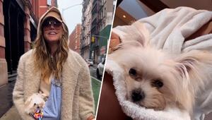 Heidi Klum bringt neuen Welpen zur Arbeit mit