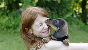 Ein schwarz-brauner Dackel leckt einem Mädchen übers Auge.