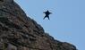 Basejumper springt von 3.450 Meter hohem Alpengipfel in Tod