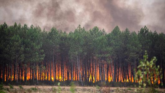 Waldbrände, Frankreich, Spanien, Europa, Extremfeuer, Hitze, Brandgefähr