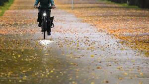 Radfahrerin fährt durch eine herbstlich verfärbte Allee